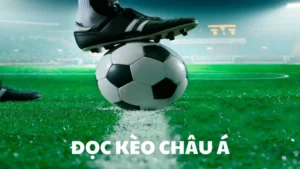 Giải Mã Kèo Châu Á Và Chiến Thuật Đầu Tư Bóng Đá Chính Xác Của Chuyên Gia