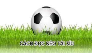 Phân Tích Kèo Tài Xỉu Hiệp 1 Chuẩn Xác Với Dữ Liệu Thống Kê Chuyên Sâu Hiện Nay