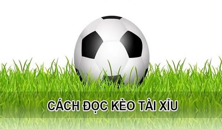 Phân Tích Kèo Tài Xỉu Hiệp 1 Chuẩn Xác Với Dữ Liệu Thống Kê Chuyên Sâu Hiện Nay
