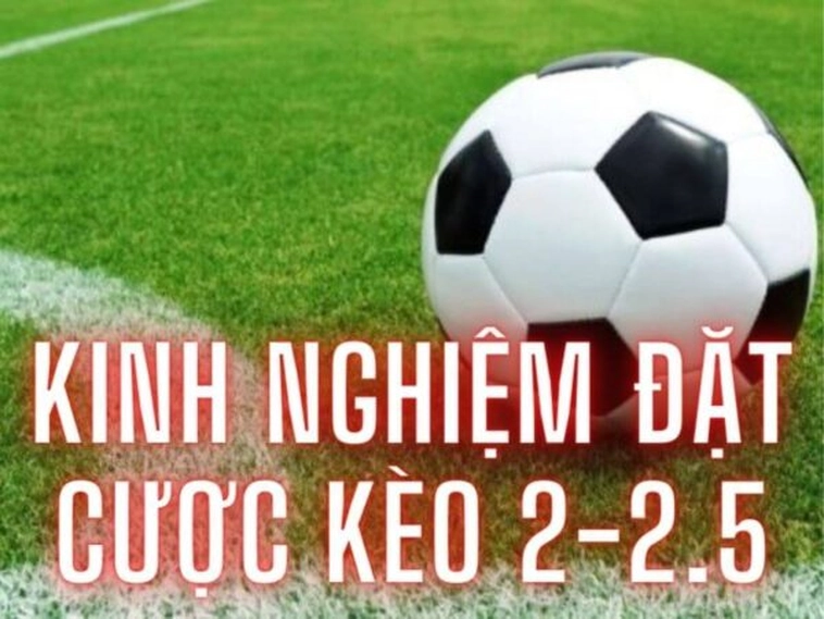 Giải Mã Chi Tiết Kèo 2.25 Và Chiến Thuật Phân Tích Tổng Số Bàn Hiệu Quả Trong Bóng Đá