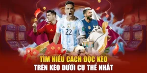 Phân Tích Chuyên Sâu Kèo Trên Kèo Dưới Và Cách Nhận Diện Cửa Thắng Trong Bóng Đá