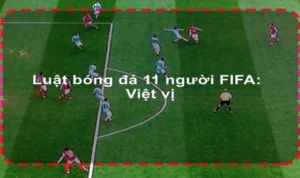 Quy Định Chuẩn Quốc Tế Về Luật Sân Bóng Đá Thi Đấu Theo Tiêu Chuẩn FIFA Mới Nhất
